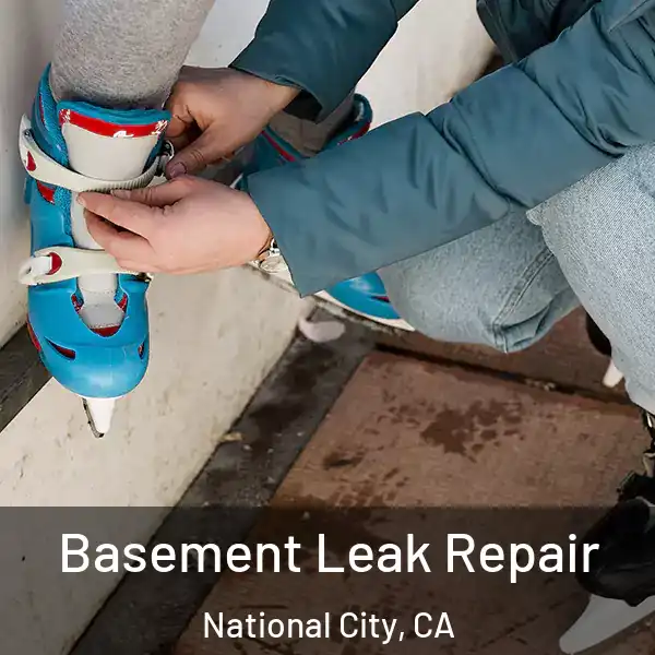  Basement Leak Repair National City, CA