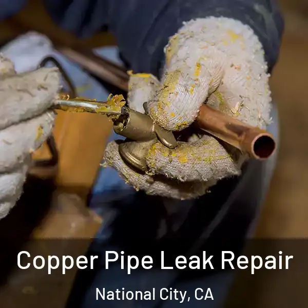  Copper Pipe Leak Repair National City, CA