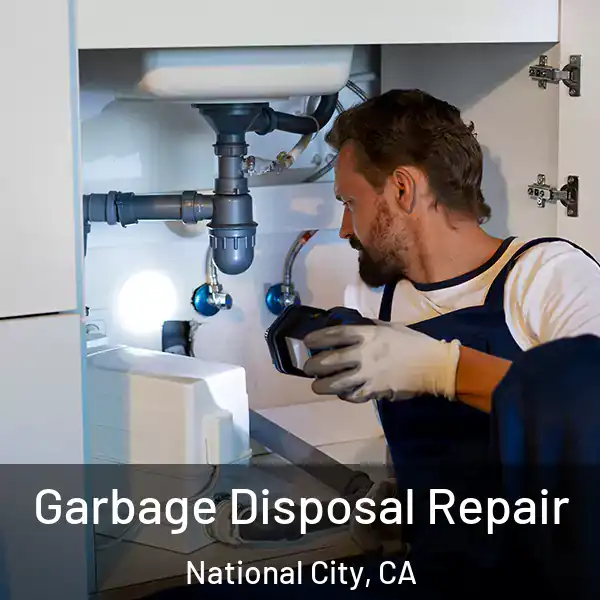  Garbage Disposal Repair National City, CA