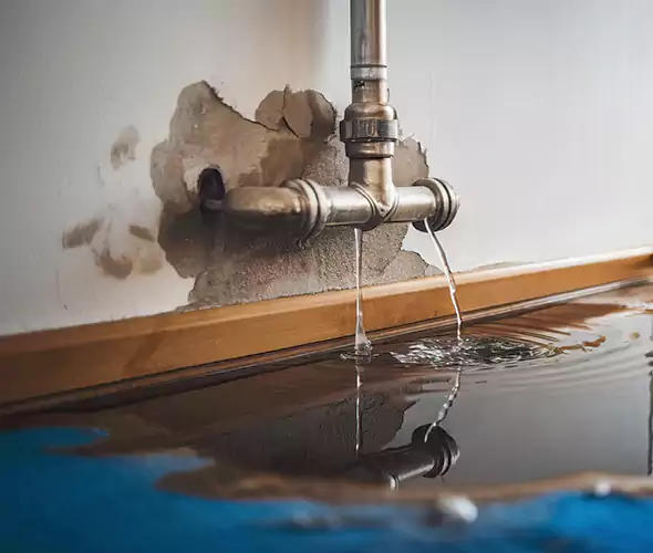 Professional Water Damage Restoration Experts in National City, CA — Fast, Reliable & Certified