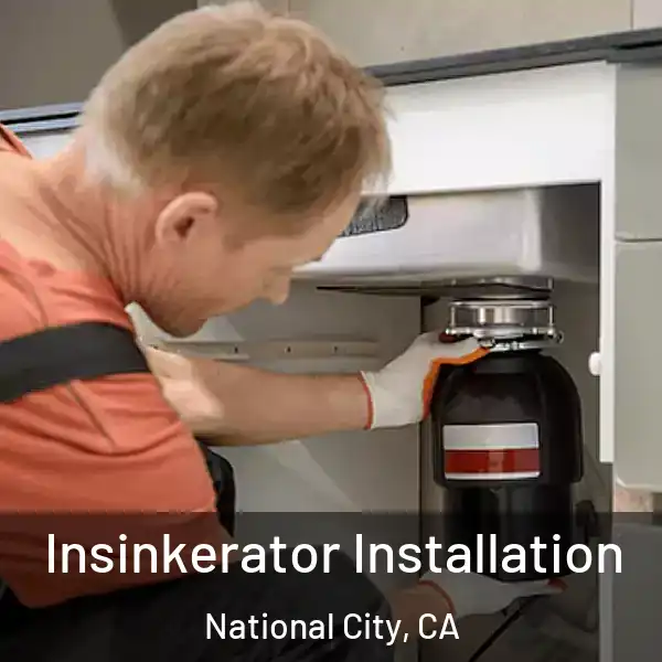  Insinkerator Installation National City, CA