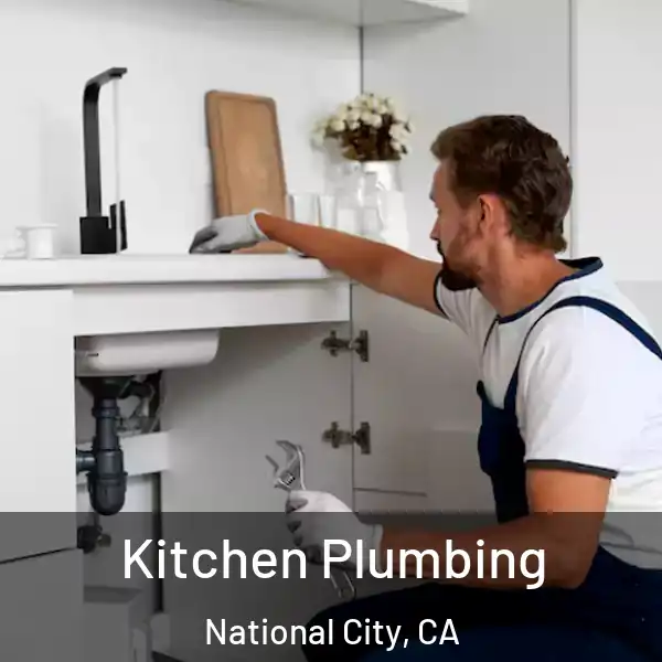  Kitchen Plumbing National City, CA