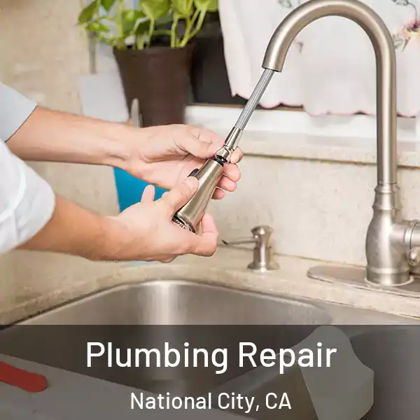  Plumbing Repair National City, CA