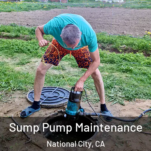  Sump Pump Maintenance National City, CA