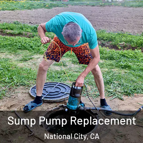  Sump Pump Replacement National City, CA