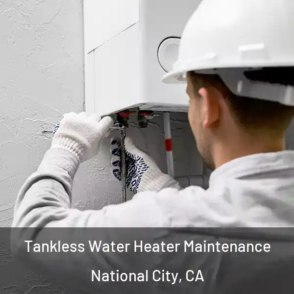  Tankless Water Heater Maintenance National City, CA