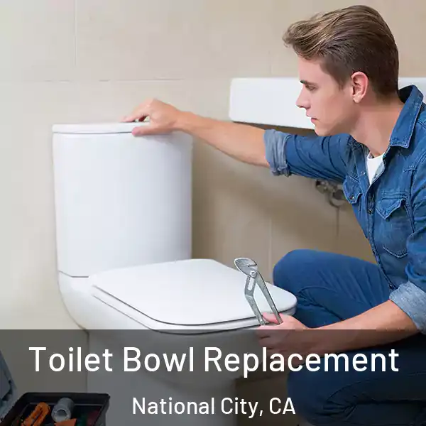  Toilet Bowl Replacement National City, CA