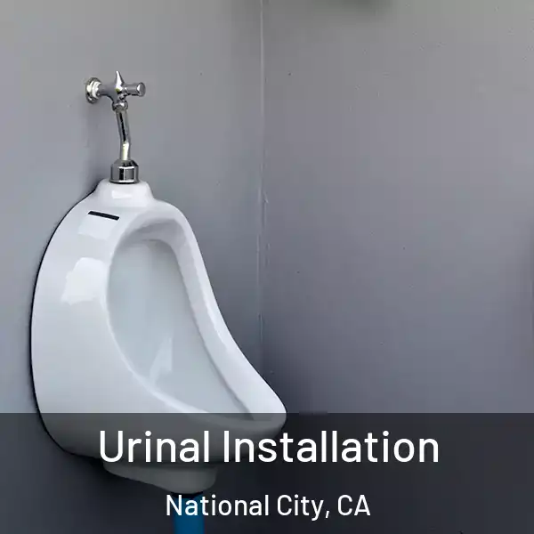  Urinal Installation National City, CA