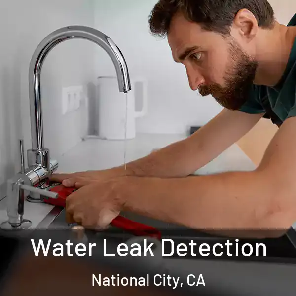  Water Leak Detection National City, CA