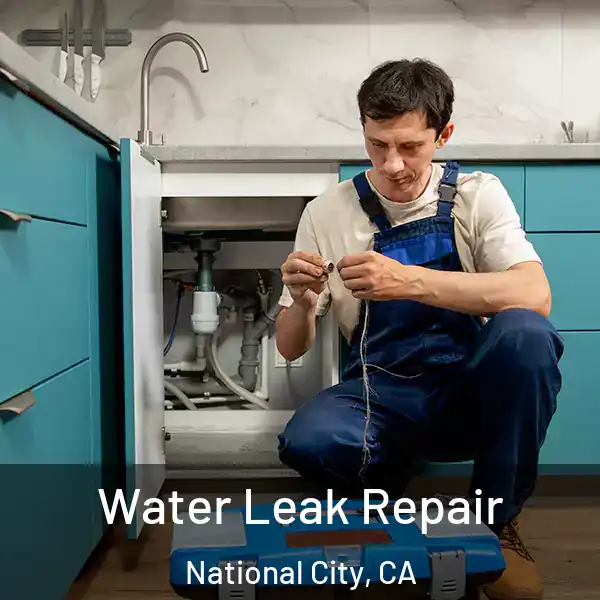  Water Leak Repair National City, CA
